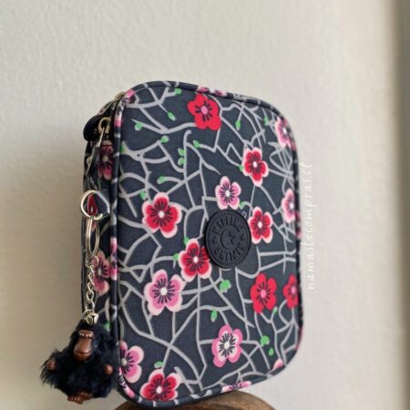 100 PENS - Imagen 3