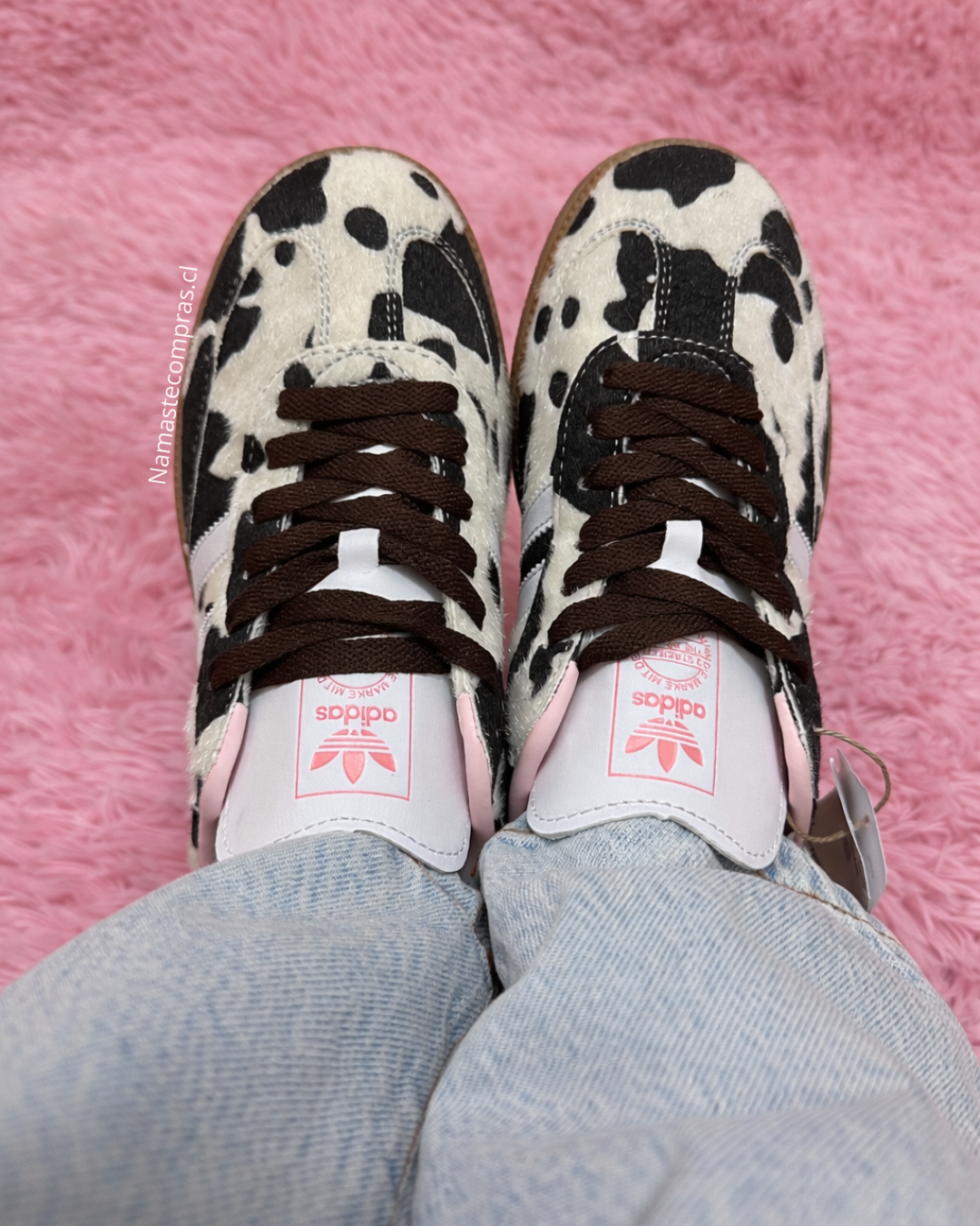 Sambas Cow - Imagen 3
